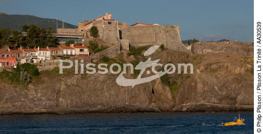 Collioure - © Philip Plisson / Plisson La Trinité / AA30539 - Nos reportages photos - Collioure