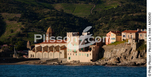 Collioure - © Philip Plisson / Plisson La Trinité / AA30540 - Photo Galleries - Town (60)