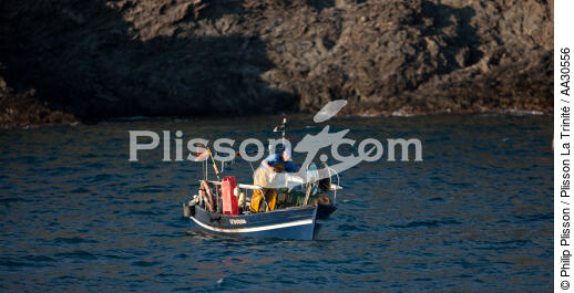 Petite pêche devant Port-Vendres - © Philip Plisson / Plisson La Trinité / AA30556 - Nos reportages photos - Port-Vendres