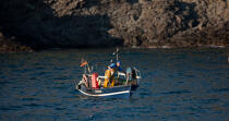 Petite pêche devant Port-Vendres © Philip Plisson / Plisson La Trinité / AA30556 - Nos reportages photos - Port-Vendres