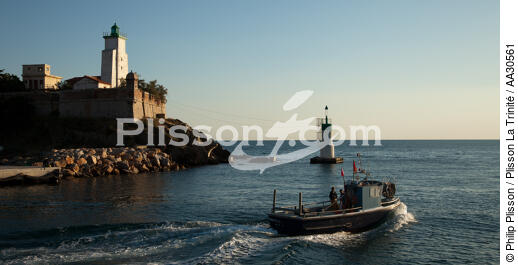 Port-Vendres - © Philip Plisson / Plisson La Trinité / AA30561 - Nos reportages photos - Bateau de pêche