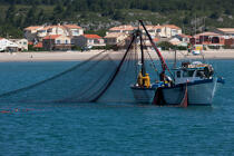 Fishing in front of Narbonne-Plage © Philip Plisson / Plisson La Trinité / AA30628 - Photo Galleries - Fishing vessel