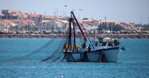 Fishing in front of Narbonne-Plage © Philip Plisson / Plisson La Trinité / AA30631 - Photo Galleries - Fishing vessel
