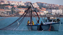 Fishing in front of Narbonne-Plage © Philip Plisson / Pêcheur d’Images / AA30633 - Photo Galleries - From Cerbère to Adge