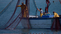 Fishing in front of Narbonne-Plage © Philip Plisson / Plisson La Trinité / AA30637 - Photo Galleries - Fishing vessel