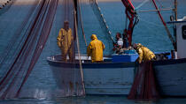 Pêche devant Narbonne-Plage © Philip Plisson / Plisson La Trinité / AA30638 - Nos reportages photos - De Cerbère à Adge
