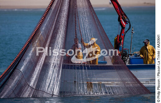 Pêche devant Narbonne-Plage - © Philip Plisson / Plisson La Trinité / AA30641 - Nos reportages photos - Bateau de pêche