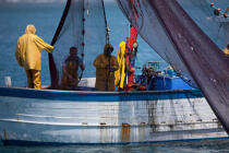 Fishing in front of Narbonne-Plage © Philip Plisson / Plisson La Trinité / AA30642 - Photo Galleries - Fishing vessel