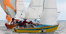 National Muscadet 2011 © Philip Plisson / Plisson La Trinité / AA30722 - Nos reportages photos - Yachting