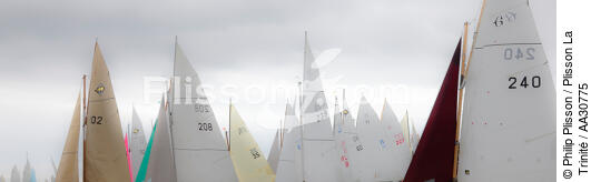 Festival de la voile de l'île aux Moines 2011 - © Philip Plisson / Plisson La Trinité / AA30775 - Nos reportages photos - Yachting