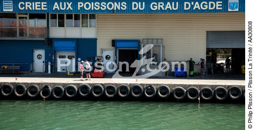 Agde - © Philip Plisson / Plisson La Trinité / AA30808 - Nos reportages photos - De Cerbère à Adge