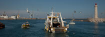 Sète © Philip Plisson / Plisson La Trinité / AA30873 - Photo Galleries - Fishing vessel