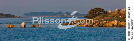 Petit matin dans le Golfe du Morbihan - © Philip Plisson / Plisson La Trinité / AA30930 - Nos reportages photos - Er-Lannic