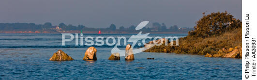 Petit matin dans le Golfe du Morbihan - © Philip Plisson / Plisson La Trinité / AA30931 - Nos reportages photos - Aube