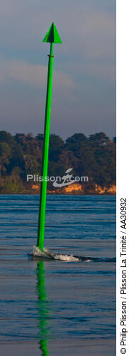 Morning in the Gulf of Morbihan - © Philip Plisson / Plisson La Trinité / AA30932 - Photo Galleries - Buoys and beacons