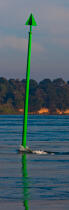 Morning in the Gulf of Morbihan © Philip Plisson / Plisson La Trinité / AA30932 - Photo Galleries - Buoys and beacons