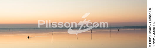 Petit matin dans le Golfe du Morbihan - © Philip Plisson / Plisson La Trinité / AA30935 - Nos reportages photos - Lumière