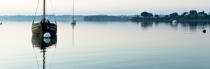 Morning in the Gulf of Morbihan © Philip Plisson / Plisson La Trinité / AA30937 - Photo Galleries - Mooring