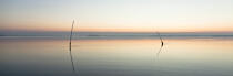 Petit matin dans le Golfe du Morbihan © Philip Plisson / Plisson La Trinité / AA30942 - Nos reportages photos - Morbihan [Golfe du]