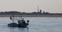 Petite pêche devant Le Grau du Roi © Philip Plisson / Plisson La Trinité / AA30951 - Nos reportages photos - De Sète à Martigues