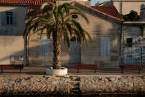 Le Grau du Roi © Philip Plisson / Plisson La Trinité / AA30975 - Nos reportages photos - De Sète à Martigues