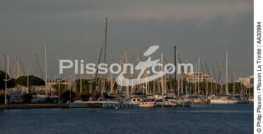 Le Grau du Roi - © Philip Plisson / Plisson La Trinité / AA30984 - Photo Galleries - Port Camargue