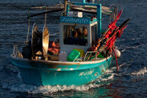 La Ciotat © Philip Plisson / Plisson La Trinité / AA31312 - Nos reportages photos - Bateau de pêche