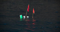 Buoys to record La Ciotat [AT] © Philip Plisson / Plisson La Trinité / AA31341 - Photo Galleries - Fishing