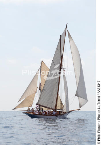 Monaco Classic Week 2011 - © Philip Plisson / Plisson La Trinité / AA31347 - Photo Galleries - Yachting