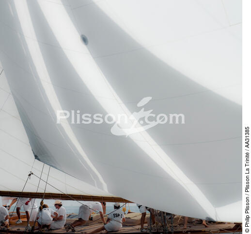 Monaco Classic Week 2011 - © Philip Plisson / Plisson La Trinité / AA31385 - Nos reportages photos - Monocoque de course