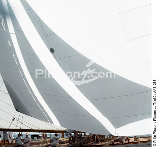 Monaco Classic Week 2011 - © Philip Plisson / Plisson La Trinité / AA31386 - Photo Galleries - Yachting