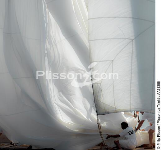 Monaco Classic Week 2011 - © Philip Plisson / Plisson La Trinité / AA31388 - Photo Galleries - Hispania