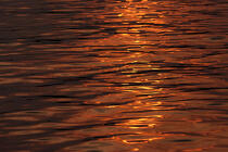 Reflet © Philip Plisson / Plisson La Trinité / AA31429 - Photo Galleries - Sea