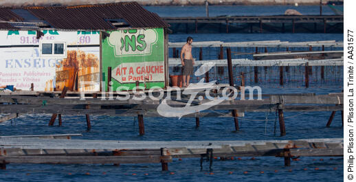 La Seyne sur mer - © Philip Plisson / Plisson La Trinité / AA31577 - Nos reportages photos - Var