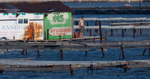 La Seyne sur mer © Philip Plisson / Plisson La Trinité / AA31577 - Nos reportages photos - Conchyliculture