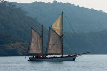 Old ship off the island of Port-Cros [AT] © Philip Plisson / Plisson La Trinité / AA31649 - Photo Galleries - Var