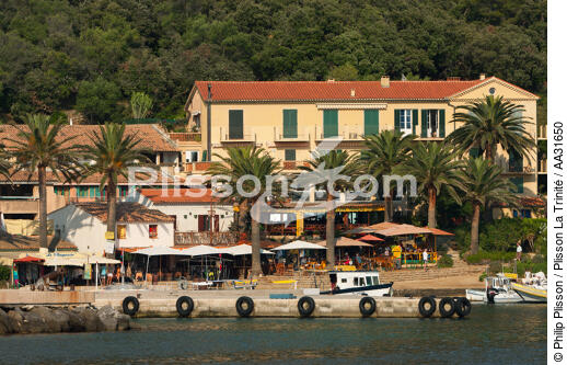 L'île de Port-Cros - © Philip Plisson / Plisson La Trinité / AA31650 - Nos reportages photos - Var