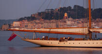 Anchorage in front of Saint-Tropez © Philip Plisson / Pêcheur d’Images / AA31780 - Photo Galleries - Mooring