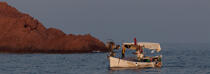 Or island in Saint-Raphaël © Philip Plisson / Plisson La Trinité / AA31902 - Photo Galleries - Rowing boat
