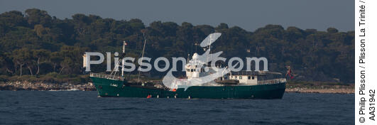 Anchor in front of Antibes - © Philip Plisson / Plisson La Trinité / AA31942 - Photo Galleries - Motorboat