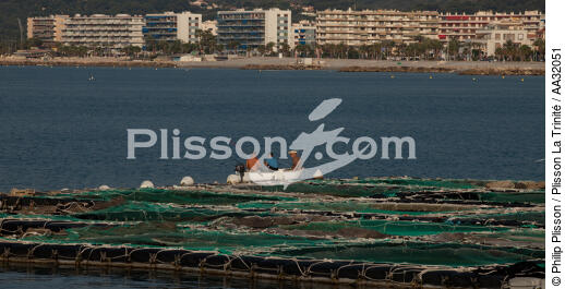 Ferme marine devant Cagnes-sur-mer - © Philip Plisson / Plisson La Trinité / AA32051 - Nos reportages photos - Ville [06]