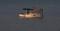 Petite pêche devant Cannes © Philip Plisson / Plisson La Trinité / AA32107 - Nos reportages photos - Barque