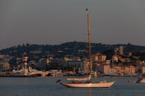 The old port of Cannes © Philip Plisson / Plisson La Trinité / AA32121 - Photo Galleries - Port