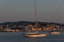 Le vieux port de Cannes © Philip Plisson / Plisson La Trinité / AA32122 - Nos reportages photos - Ville [06]