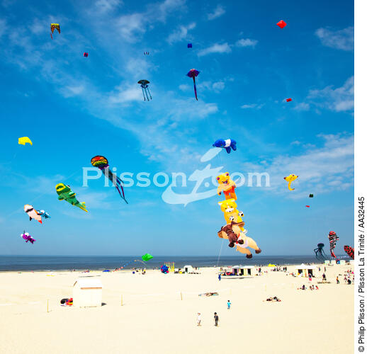 International Meetings of kites in Berck sur Mer [AT] - © Philip Plisson / Plisson La Trinité / AA32445 - Photo Galleries - Berck