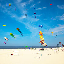 International Meetings of kites in Berck sur Mer [AT] © Philip Plisson / Plisson La Trinité / AA32445 - Photo Galleries - Town [62]