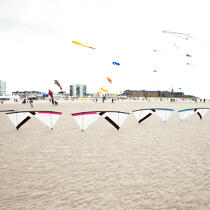 International Meetings of kites in Berck sur Mer [AT] © Philip Plisson / Plisson La Trinité / AA32446 - Photo Galleries - Town [62]
