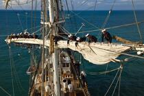L'Ecole des Mousse à bord du Belem © Philip Plisson / Plisson La Trinité / AA32665 - Nos reportages photos - Grand voilier