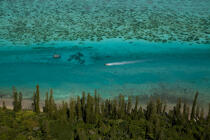Iles des Pins © Philip Plisson / Plisson La Trinité / AA32712 - Photo Galleries - Coastal landscape