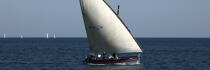 Lateen sail at Agde © Philip Plisson / Plisson La Trinité / AA32916 - Photo Galleries - Wishes 2009